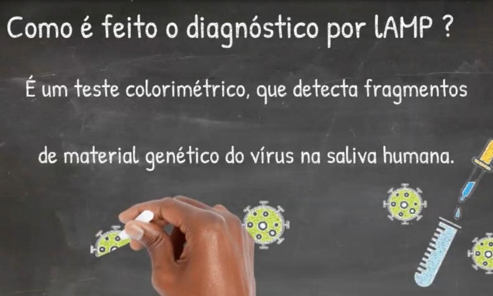 Validação da técnica RT-Lamp no diagnóstico da covid-19 em uma escola pública no município de São Caetano