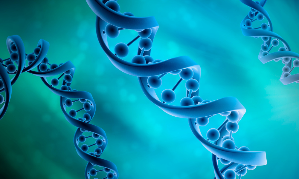 Workshop do Cadde e Imperial College London ensina técnicas de metagenômica viral para agilizar descoberta de patógenos em humanos e animais