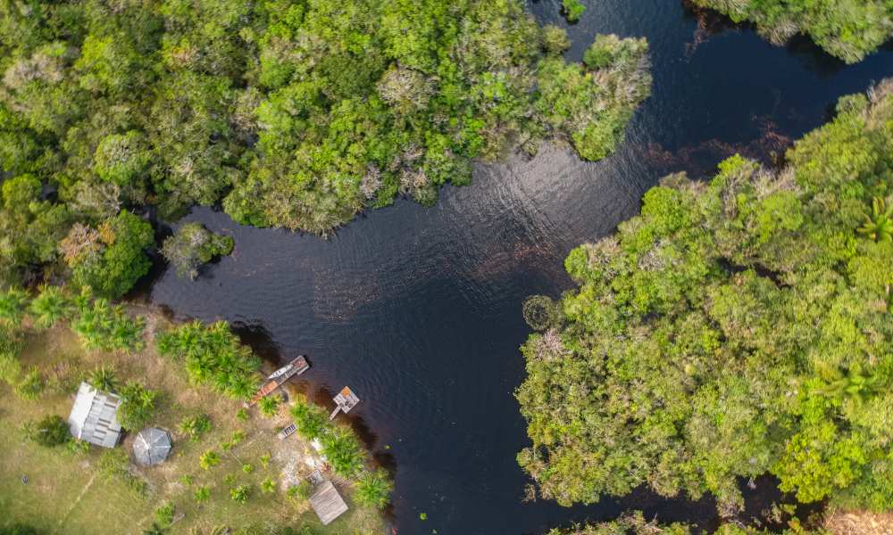 Instituto Todos pela Saúde apoia realização do Workshop Internacional em Preparação para Enfrentamento de Epidemias na Região Amazônica