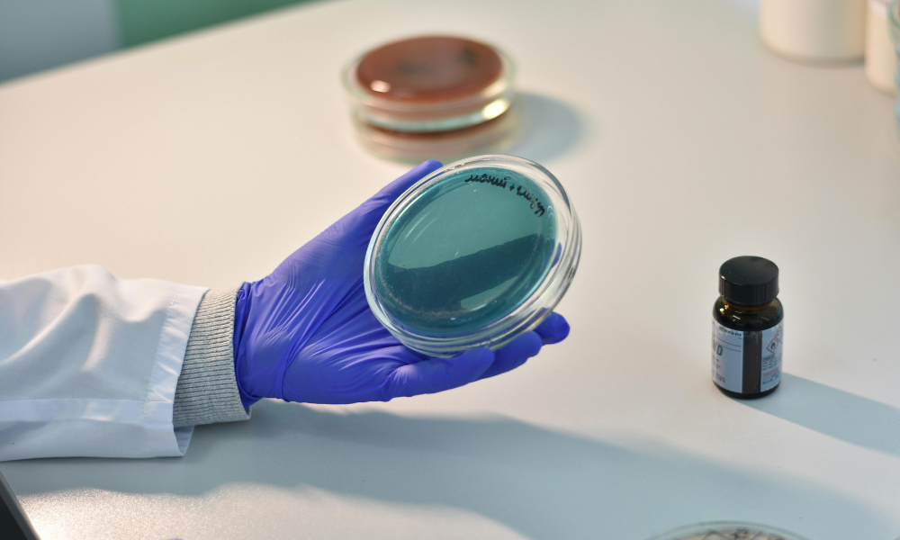 Nova classificação genética do vírus da dengue amplia capacidade de vigilância global