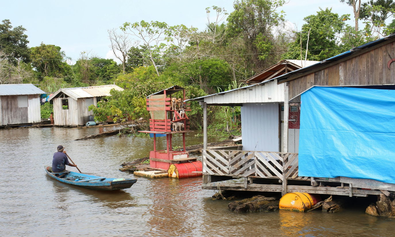Infecção pelo vírus Oropouche na Amazônia brasileira apresenta perfis clínicos e laboratoriais distintos