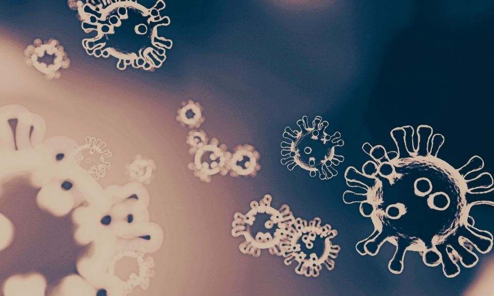 Análise em 337 amostras de SARS-CoV-2 no Brasil indica Ômicron em 92,6%