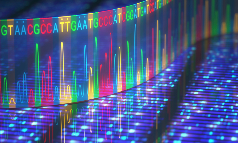 Fapesp: Workshop ensina técnicas de metagenômica viral para agilizar descoberta de patógenos em humanos e animais